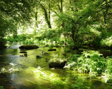 Circuit de Pontkalleg