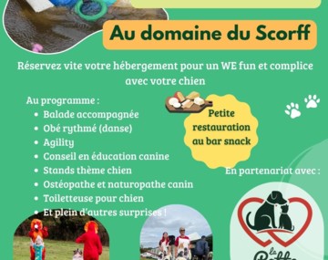 Week-end complicité avec votre chien