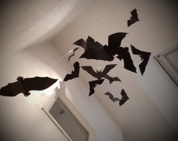 Visite guidée de la Maison de la chauve-souris