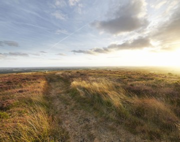 Balade géologique : landes & tourbières de la calotte St-Joseph