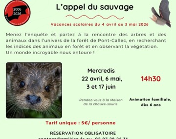 Sortie nature « L'appel du sauvage »