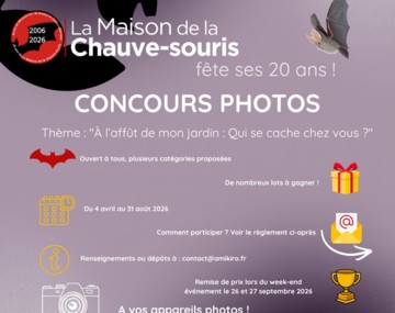 Concours photos