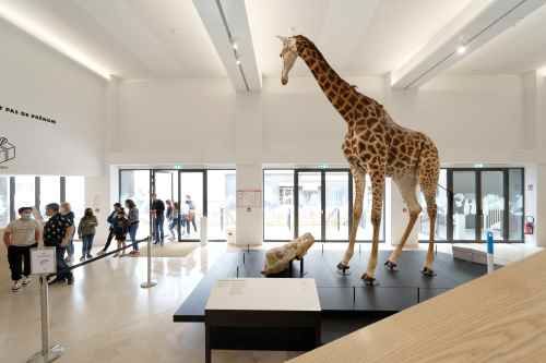 Mobe - Muséum d'Orléans pour la Biodiversité et l'Environnement