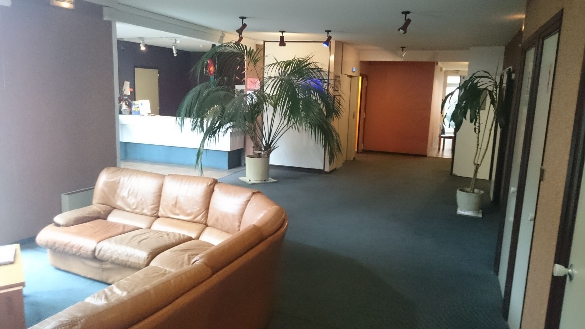 Jackotel