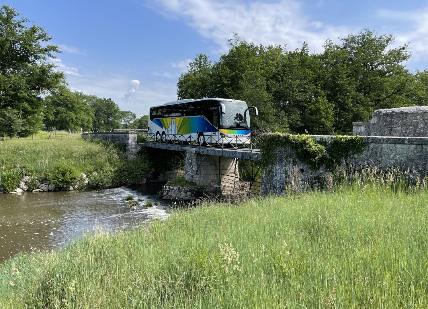Visite de la Réserve de Chambord en car