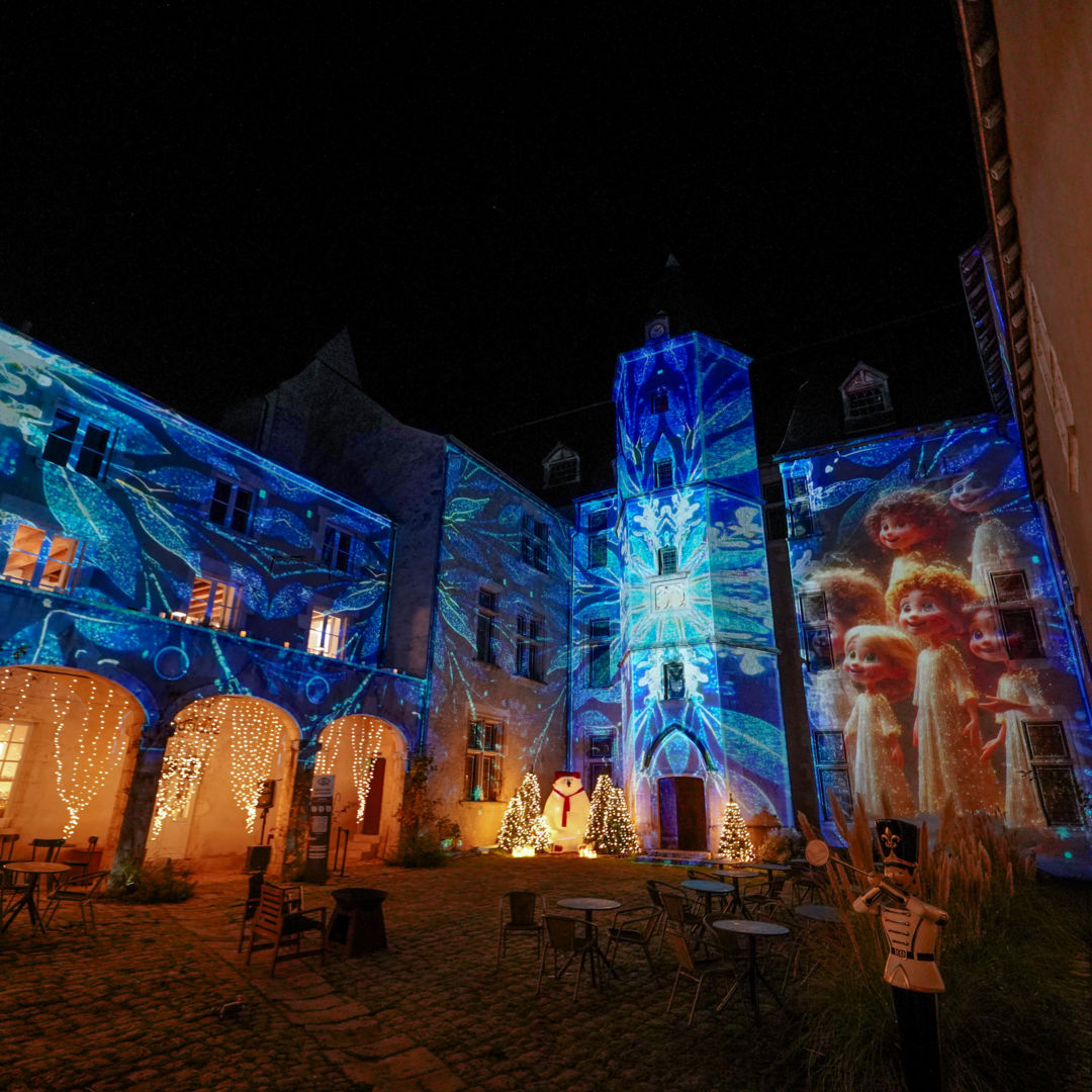 Château de Beaugency - Château de Lumières