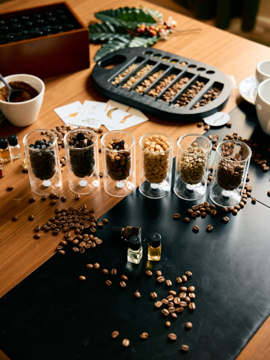 Atelier café de la plante à la tasse