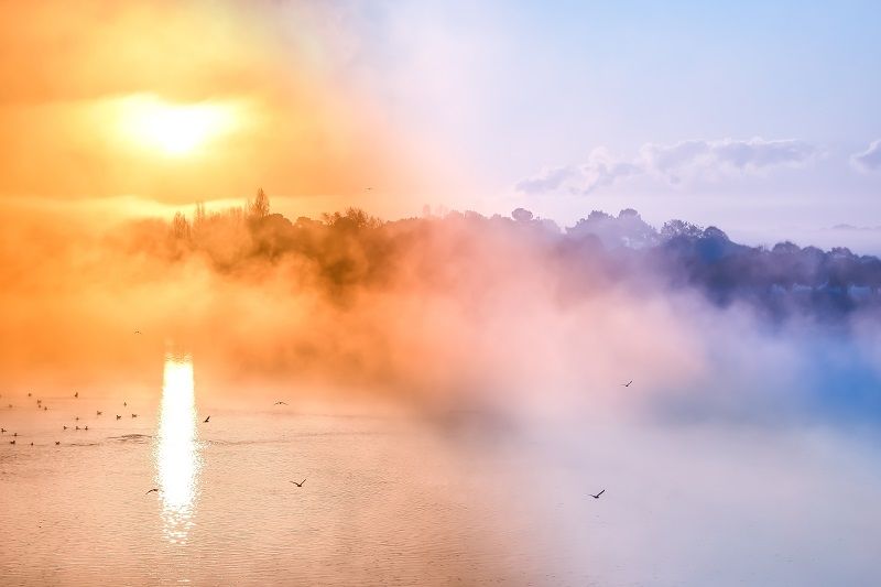 1 brume sur la Loire VIT