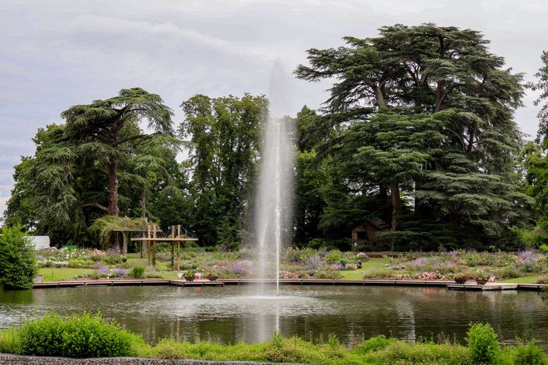 Parc Floral 2024 ©Sandrine Bercier (40)