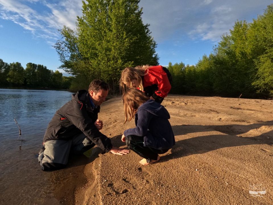 Sur une île à la recherche de traces de castor
