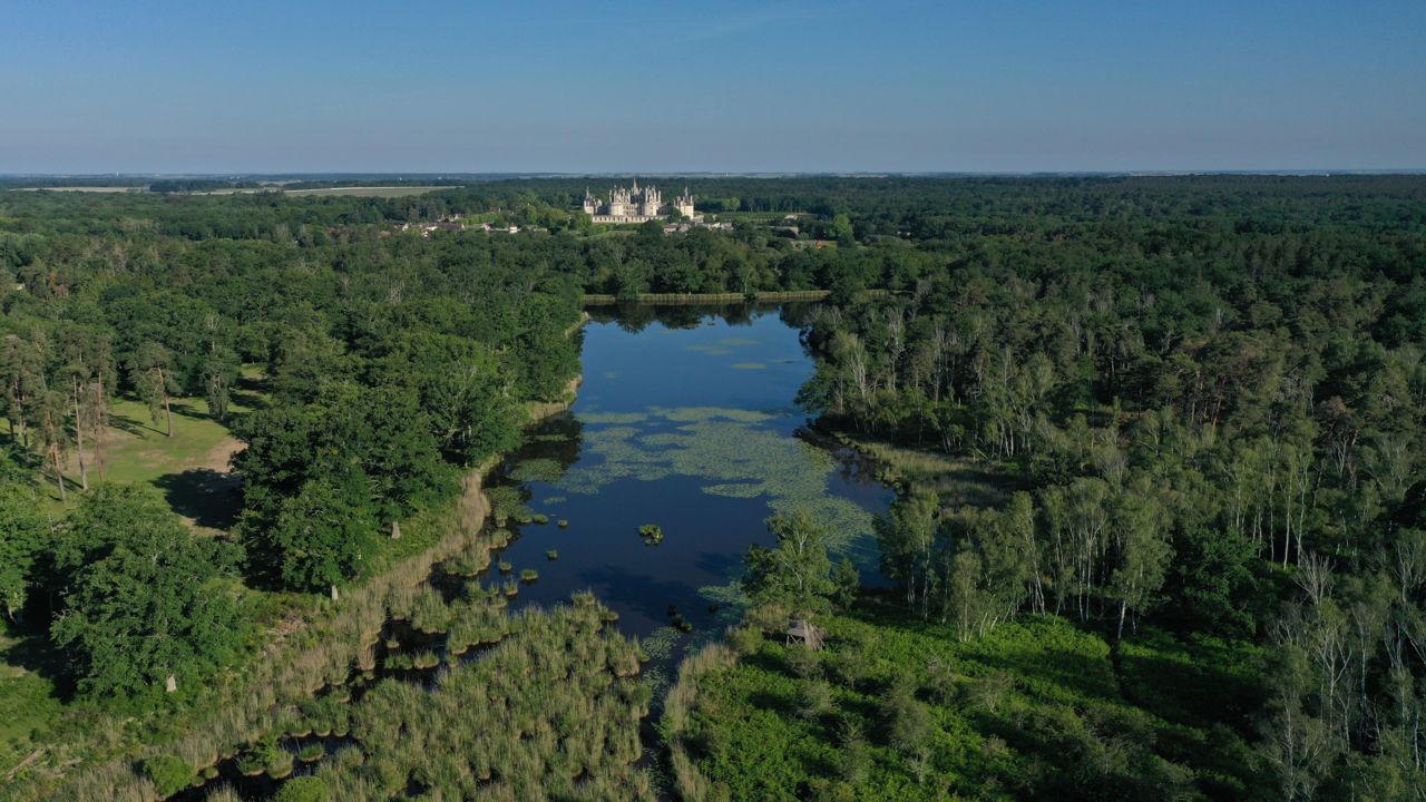 Etangs chambord