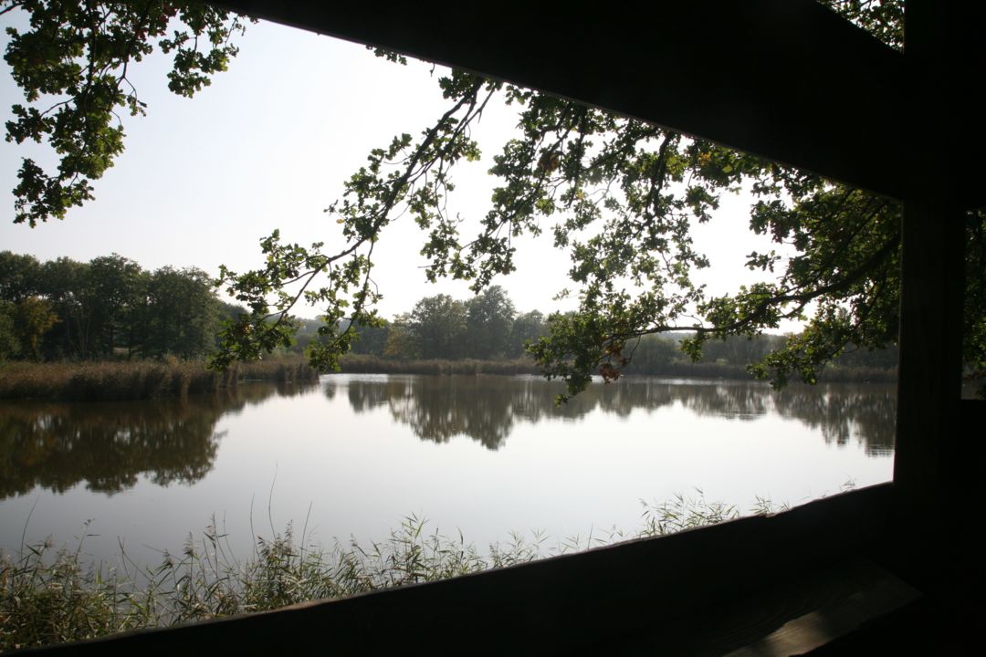patrimoine-menestreau-en-vilette-domaine-du-ciran-etang