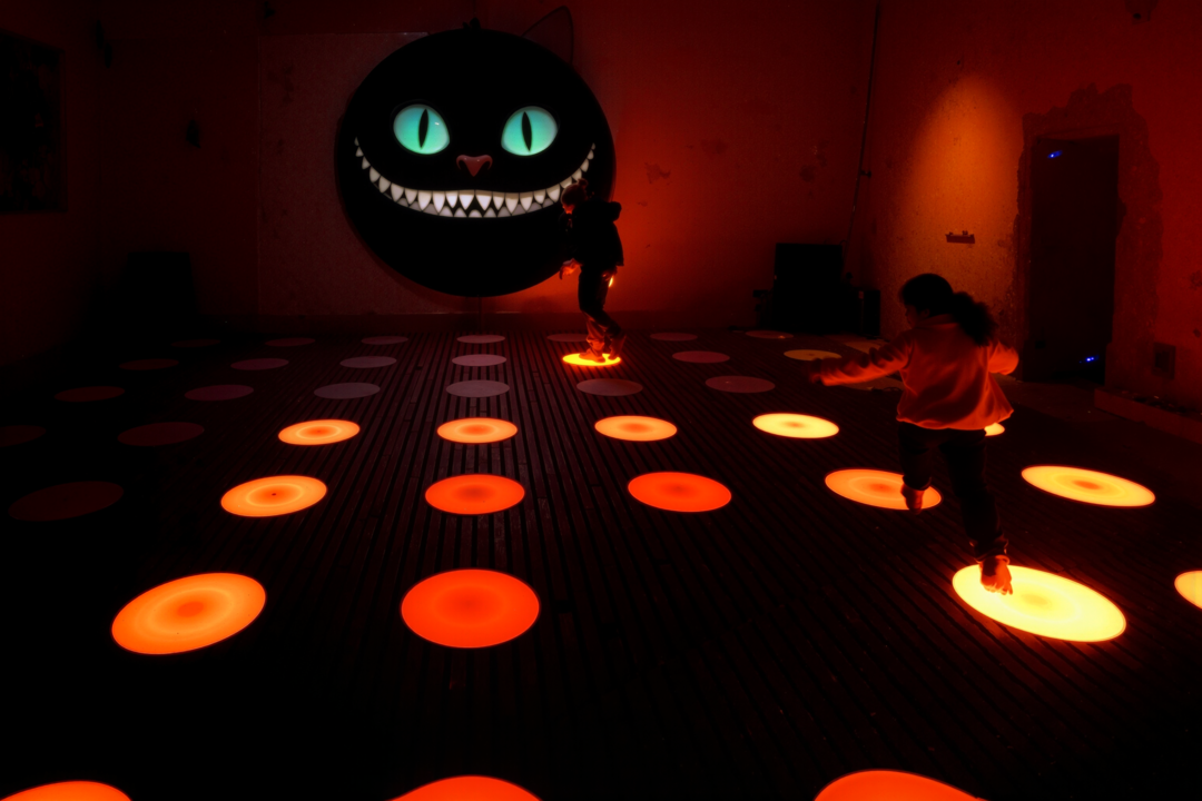 Bouncinng light et le chat