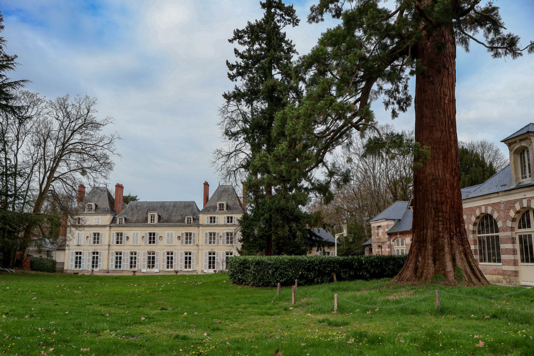 Château Rondon et Orangerie