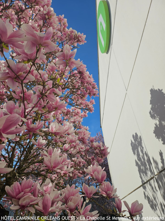 HÔTEL CAMPANILE ORLEANS OUEST - La Chapelle St Mesmin - Vue extérieure - 1