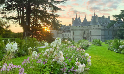 Domaine de Chaumont-sur-Loire