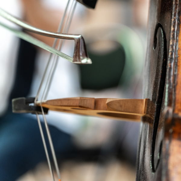 Haydn – Bruch
