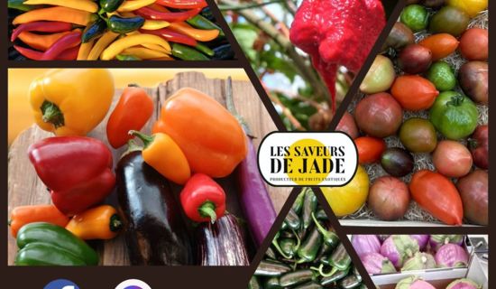 Les Saveurs de Jade- Production d'Agrumes