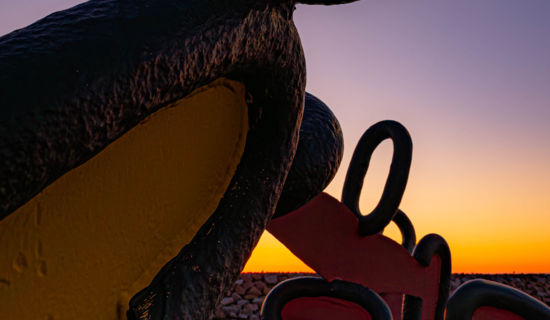 Seconde vie, nouveaux regards