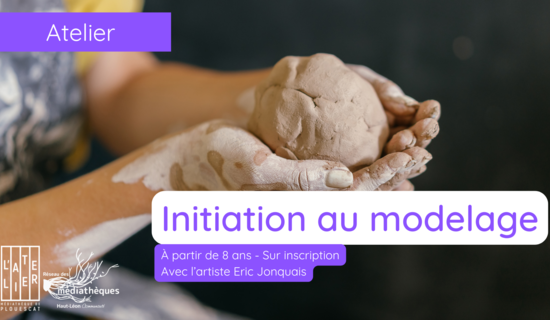Introductory modelling workshop