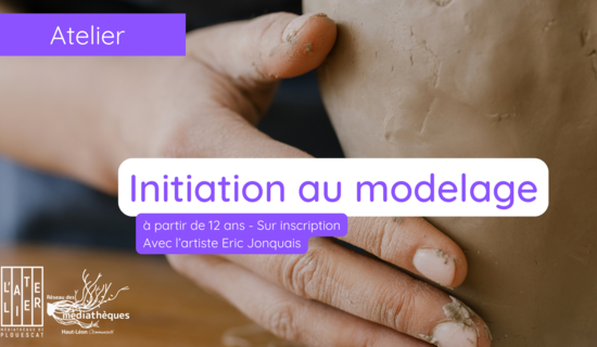Introductory modelling workshop