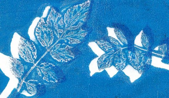 Atelier cyanotype