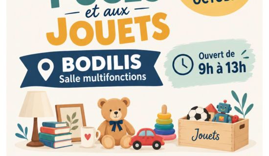 Foire aux puces et aux jouets