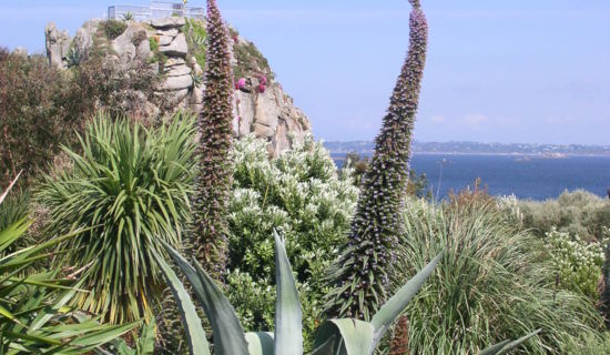 Rencontre et atelier avec l'artiste Cécile Borne 