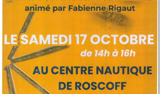 Atelier d'observation 