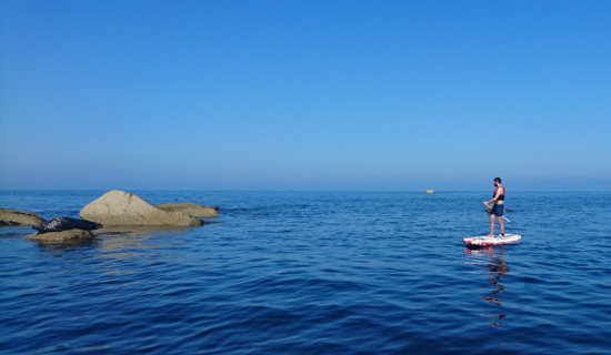 Balade en kayak/paddle à la découverte des phoques