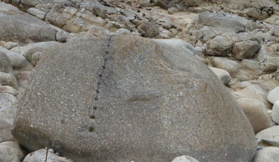 Sur les traces des tailleurs de pierre : visite commentée de carrières marines et terrestres