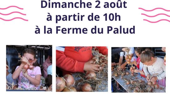 Initiation au tressage d'oignon de Roscoff