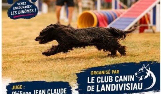 Concours canin