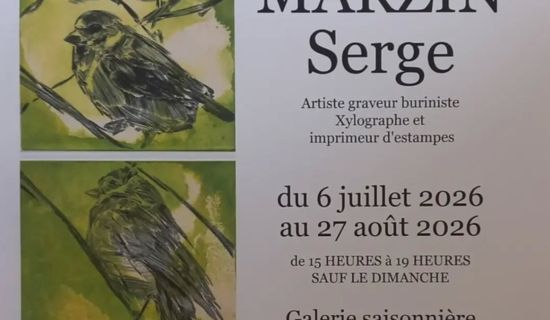 Exposition : MARZIN Serge