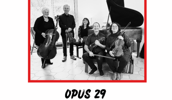 Soirée Concert : Opus 29