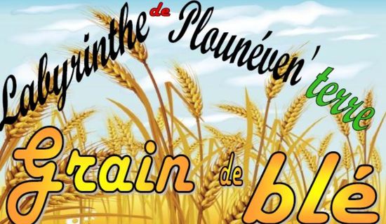 Animations Office De Tourisme Roscoff