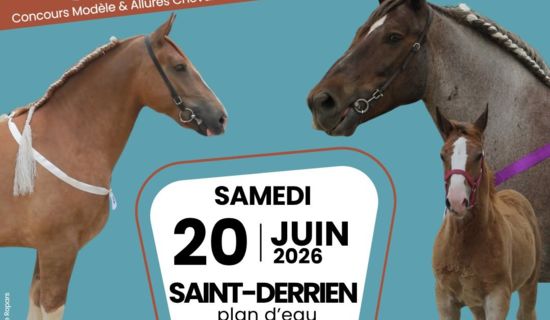 Concours cantonal équestre