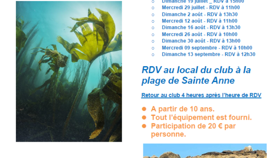 Balade palmée dans les forêts de laminaires