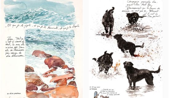 Une Bretagne par les Contours
