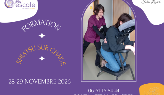 Training in seated Amma massage (chair shiatsu)