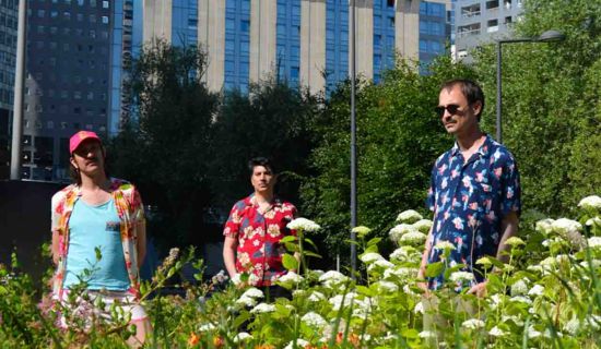 Moustache Island