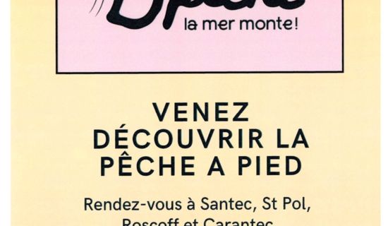 Découverte pêche à pied