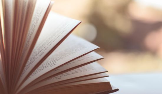 Salon du Livre