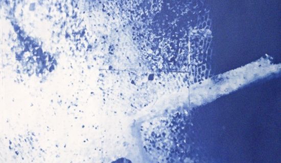 Cyanotype Exhibition – Brigit Ber