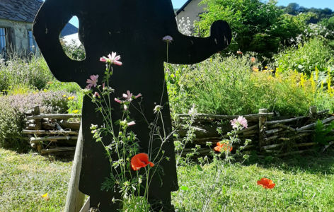 Les rendez-vous au jardin : découvrir la diversité floristique du Sancy