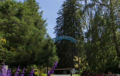 L'Appel de la forêt s'invite au parc Fenestre_La Bourboule