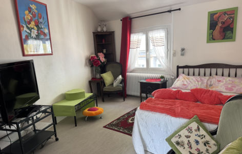Villa Val Rose - Ecrin Vert_Mont-Dore