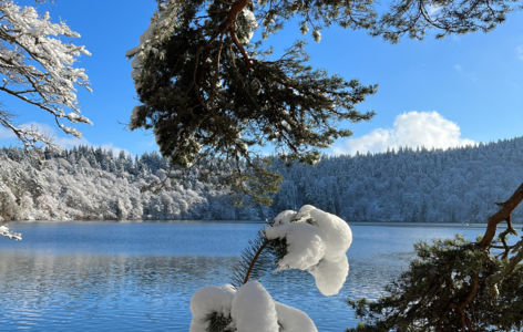 Découverte du lac Pavin, randonnée accompagnée avec transport en mini-bus_Super-Besse