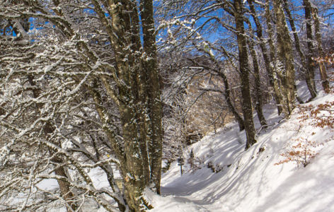 Découverte du lac Pavin, randonnée accompagnée avec transport en mini-bus_Super-Besse