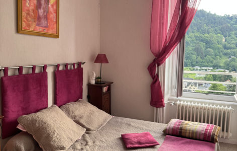 Villa Val Rose - Les Roses Rouges_Mont-Dore